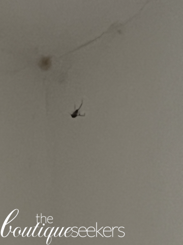 Image of damage and dirt in the Kitchen