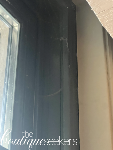 Image of cobwebs in kitchen window