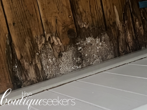 Image of rotten bathroom flooring