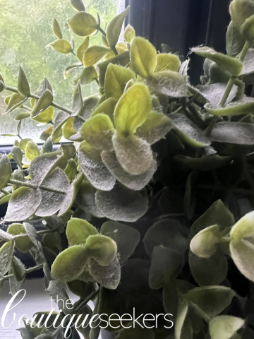 Image of very dirty plastic plant in the bathroom