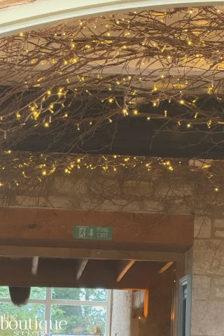 The Farmers Dog Restaurant Lights